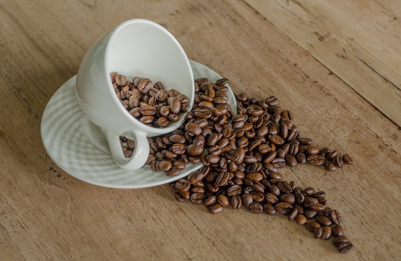 coffee beans mug free photo