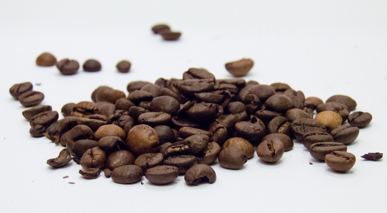 coffee grains coffee beans free photo