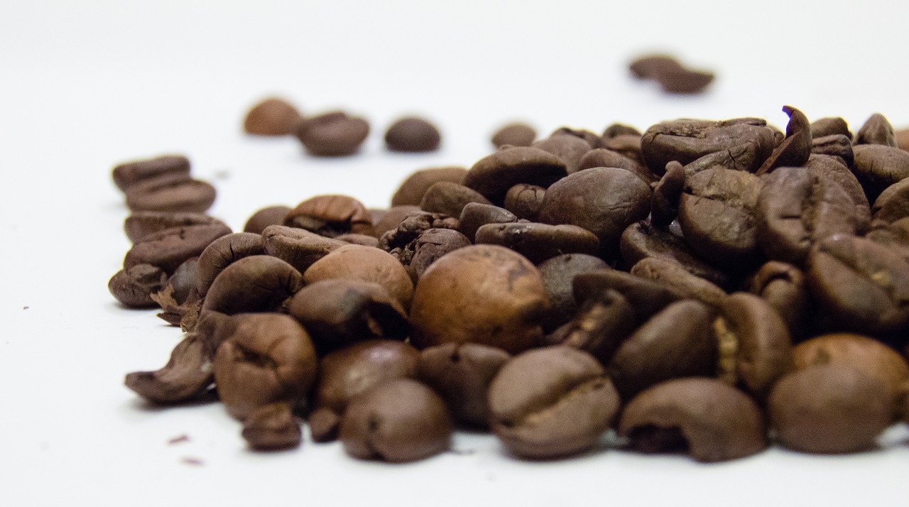 coffee grains coffee beans free photo