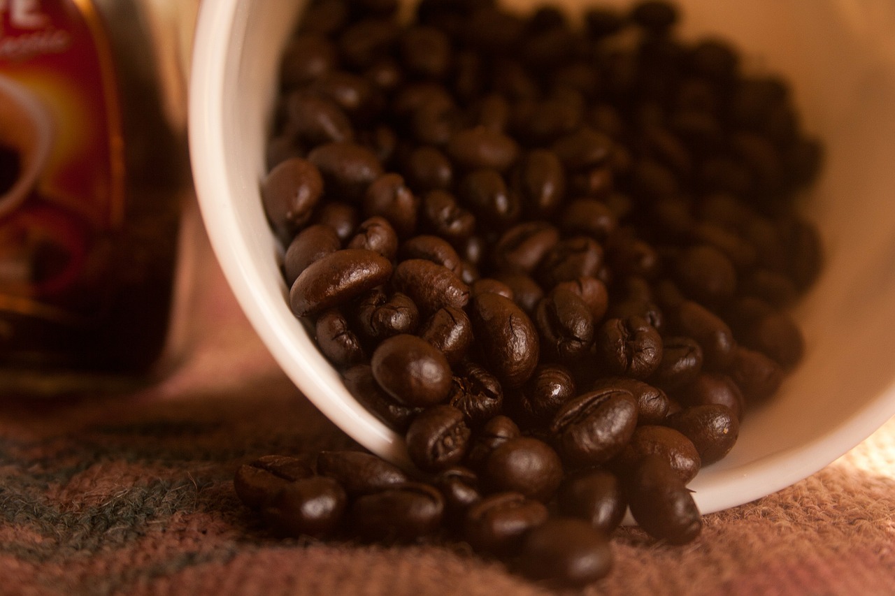 coffee beans bowl free photo