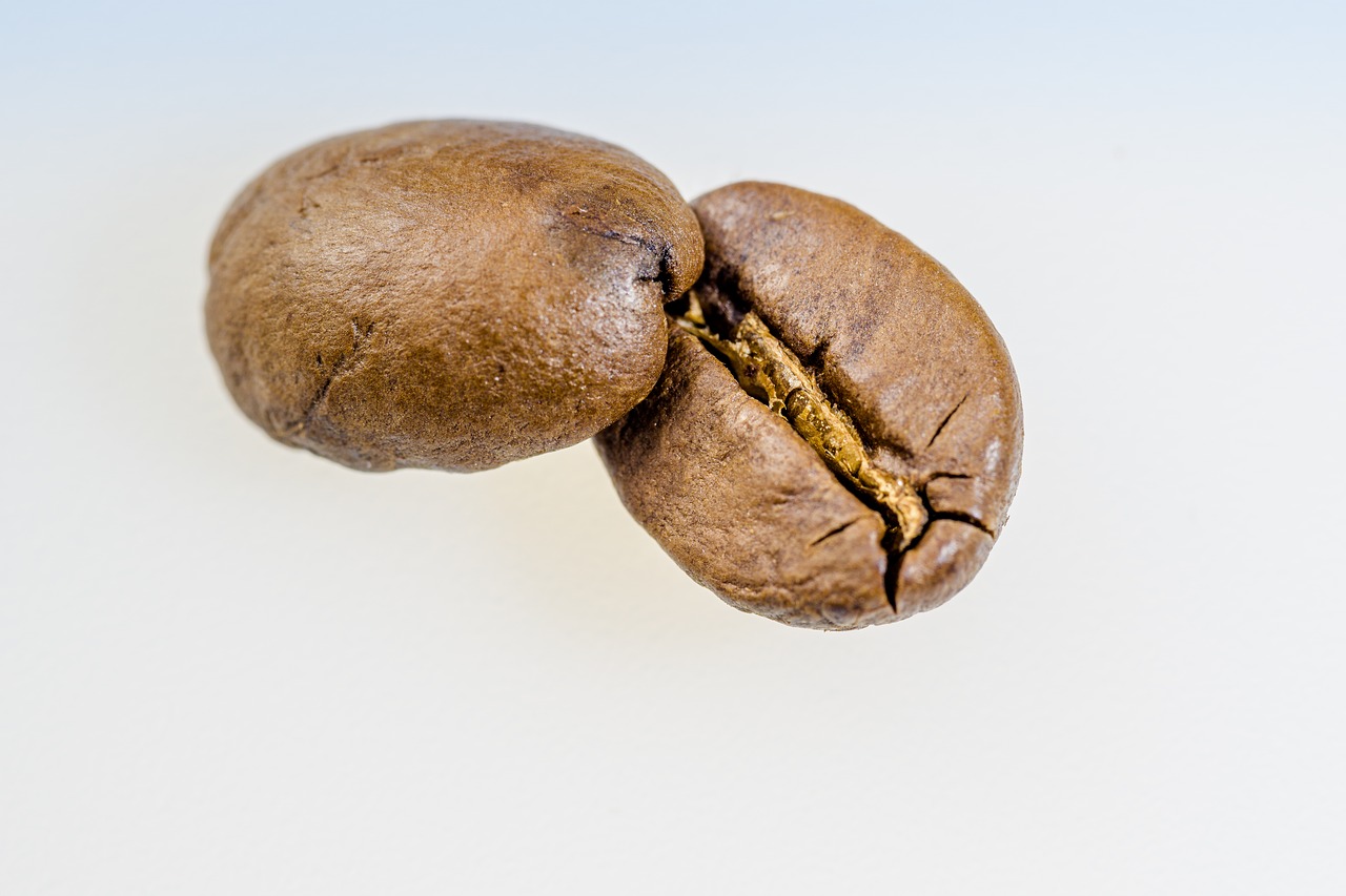 coffee coffee bean roasted free photo