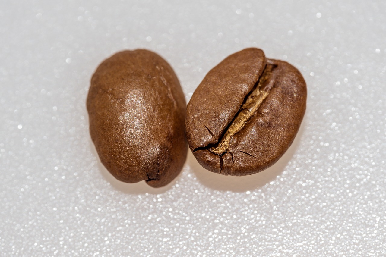 coffee coffee bean roasted free photo