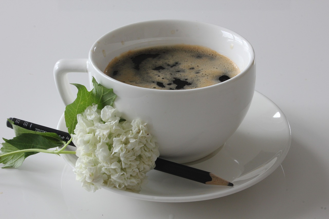 coffee flower still life free photo