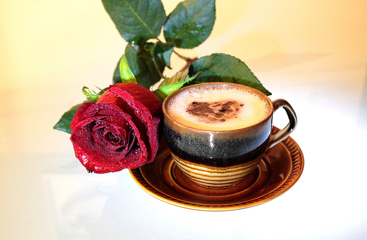 coffee rose cup free photo