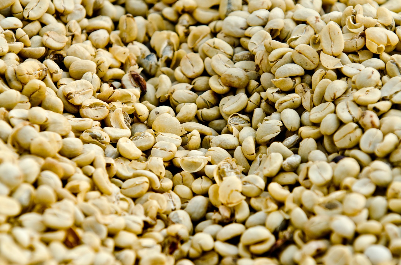 coffee coffee drying guatemala coffee free photo