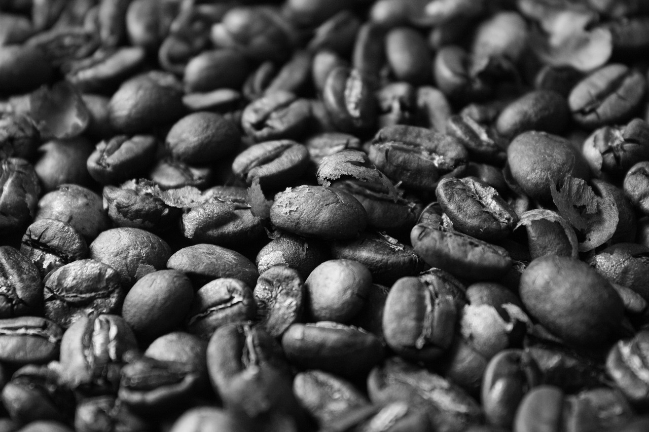 coffee beans roasted free photo