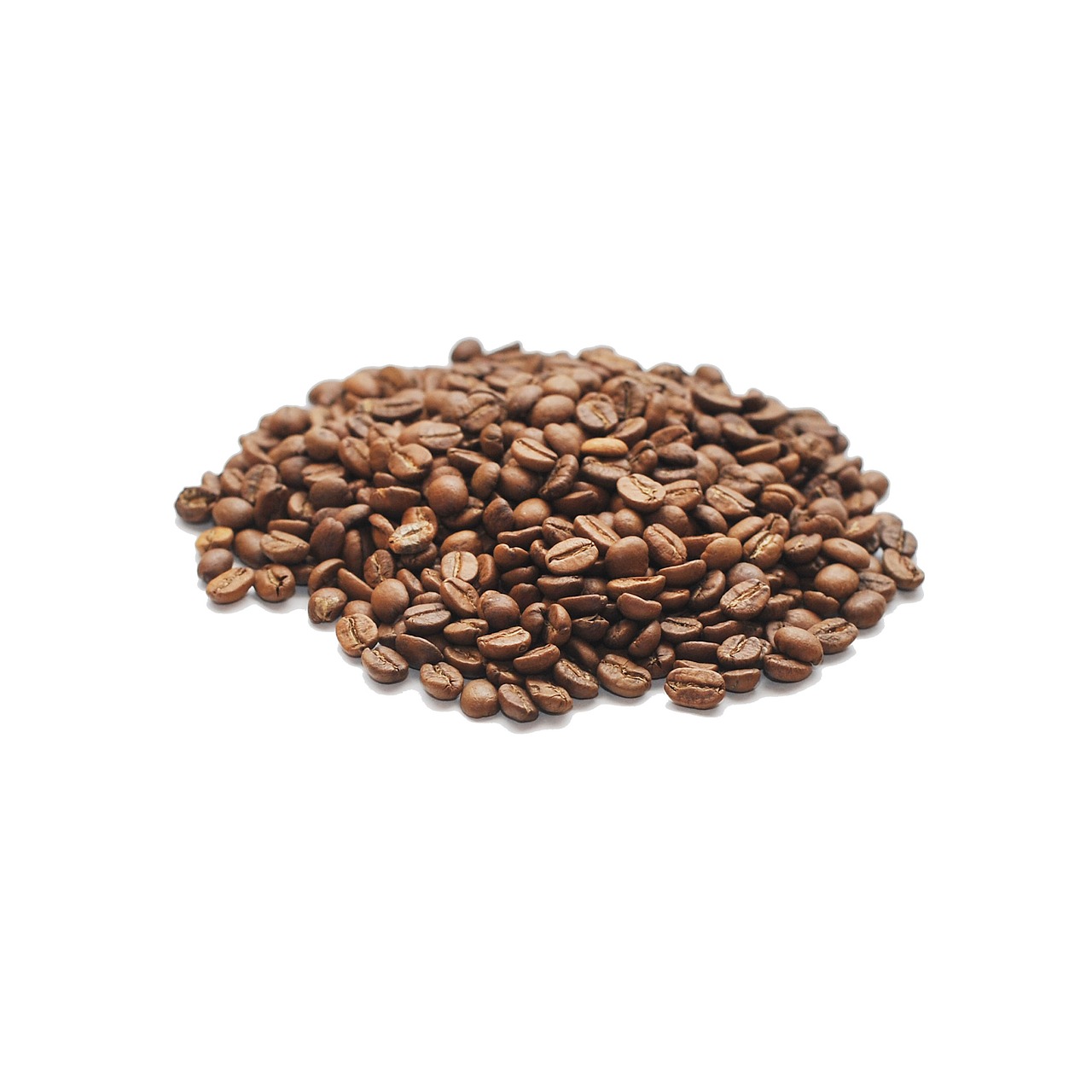 coffee grains arabica free photo