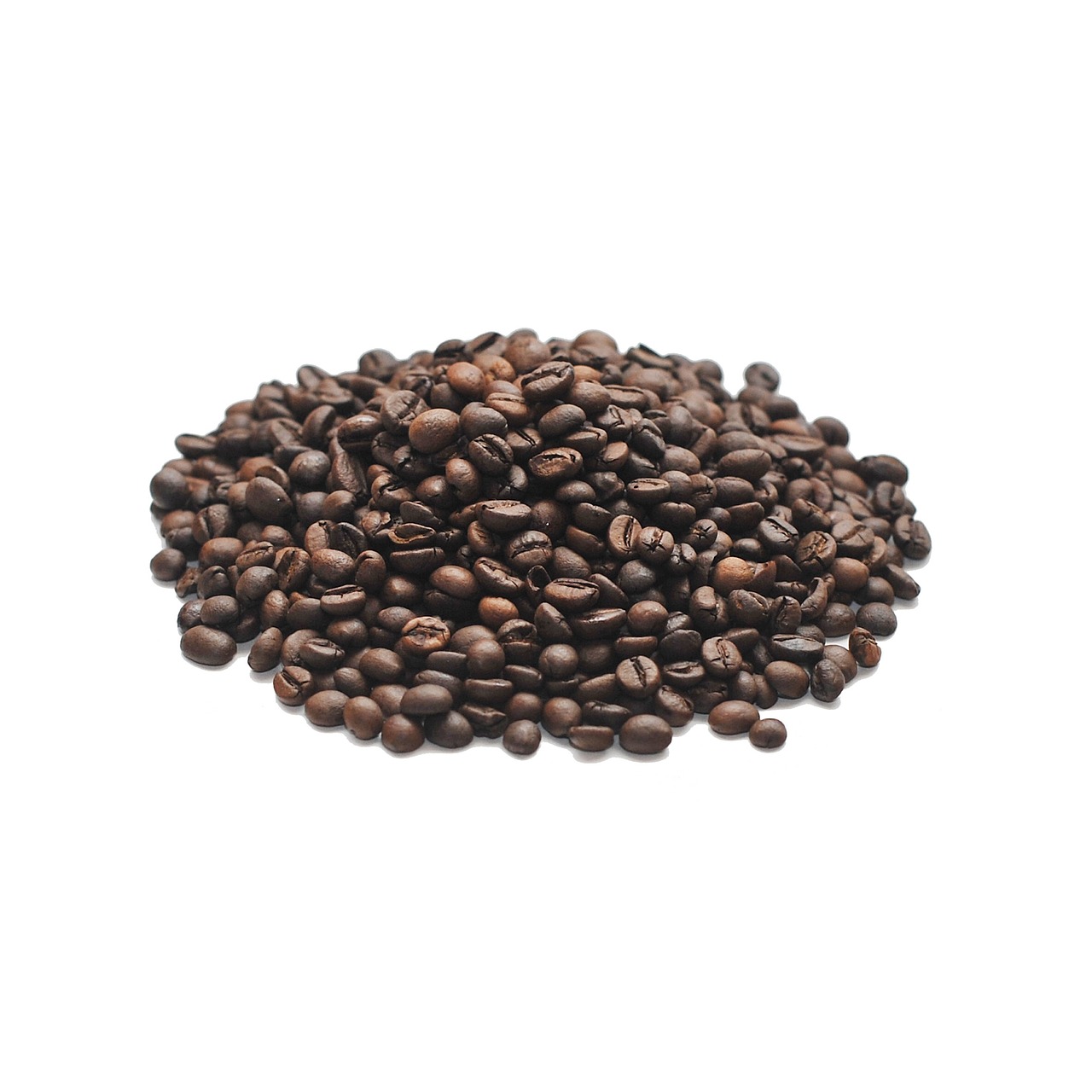 coffee grains arabica free photo