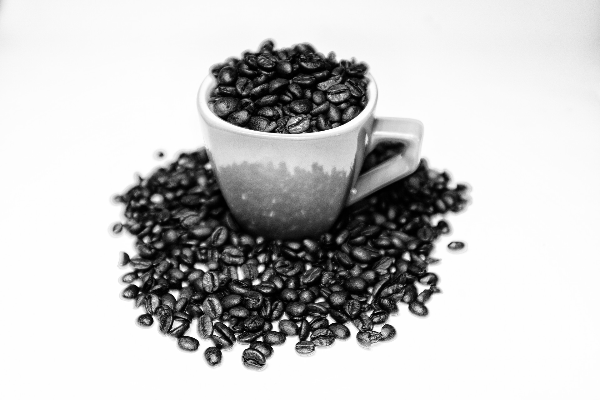 coffee grain black white free photo