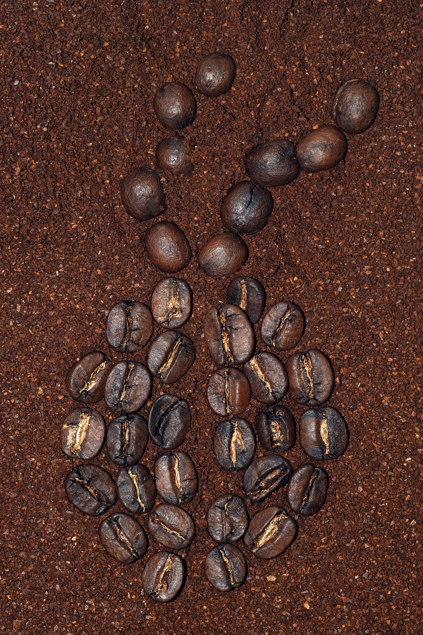 coffee cafe beans free photo