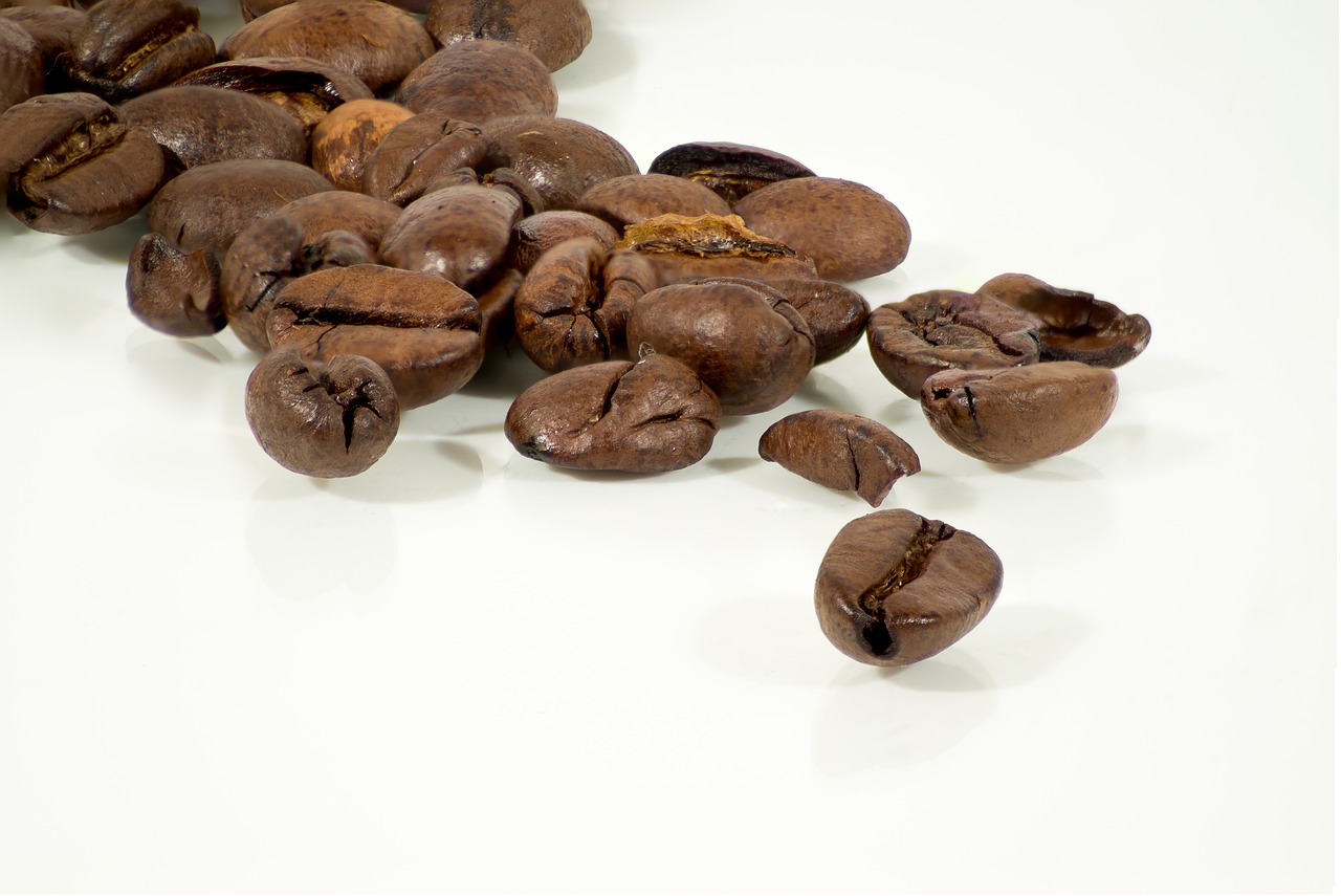 coffee arabica beans beans free photo