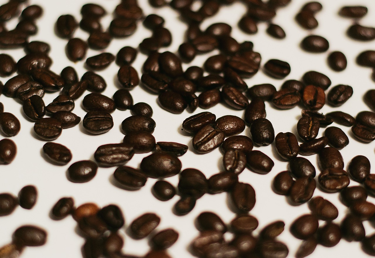 coffee coffee bean coffee beans free photo
