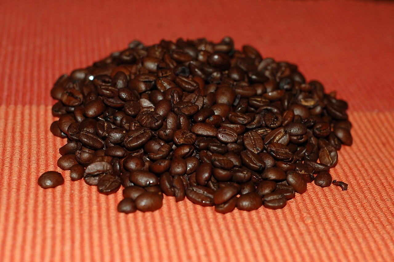 coffee beans coffee bean free photo