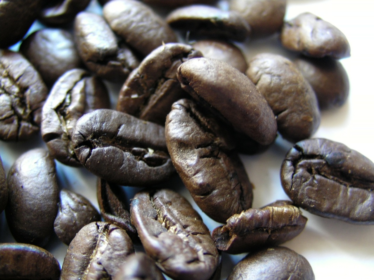 coffee beans roasted free photo