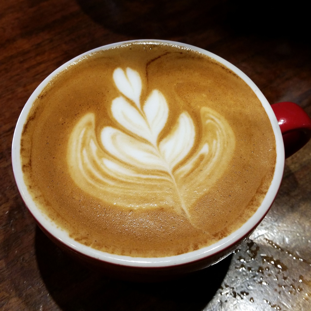 coffee latte latte art free photo