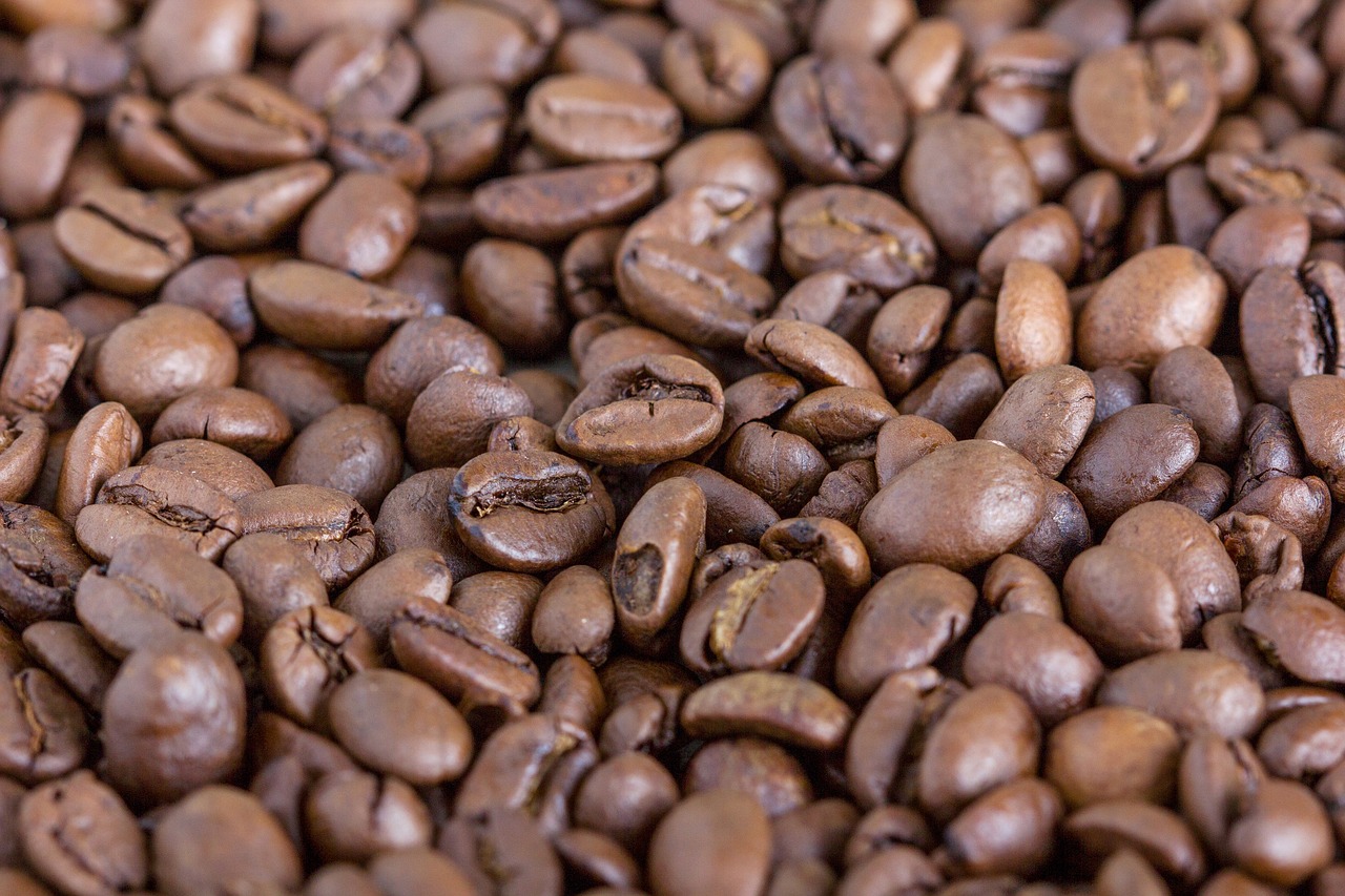 coffee beans brown free photo