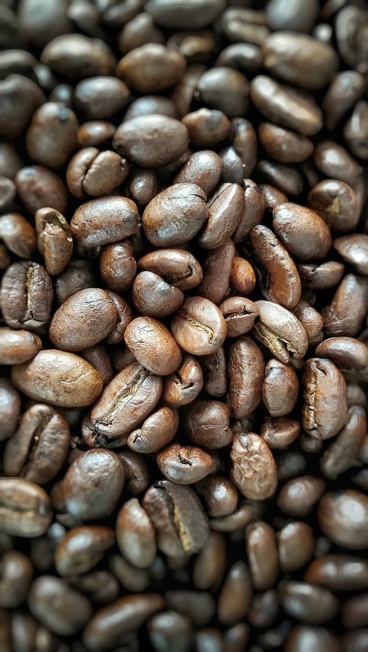 coffee coffee beans beans free photo