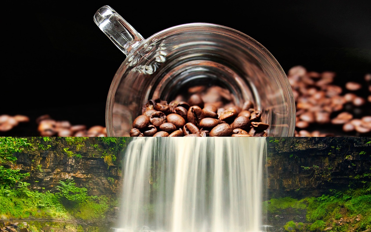 coffee summer waterfall free photo