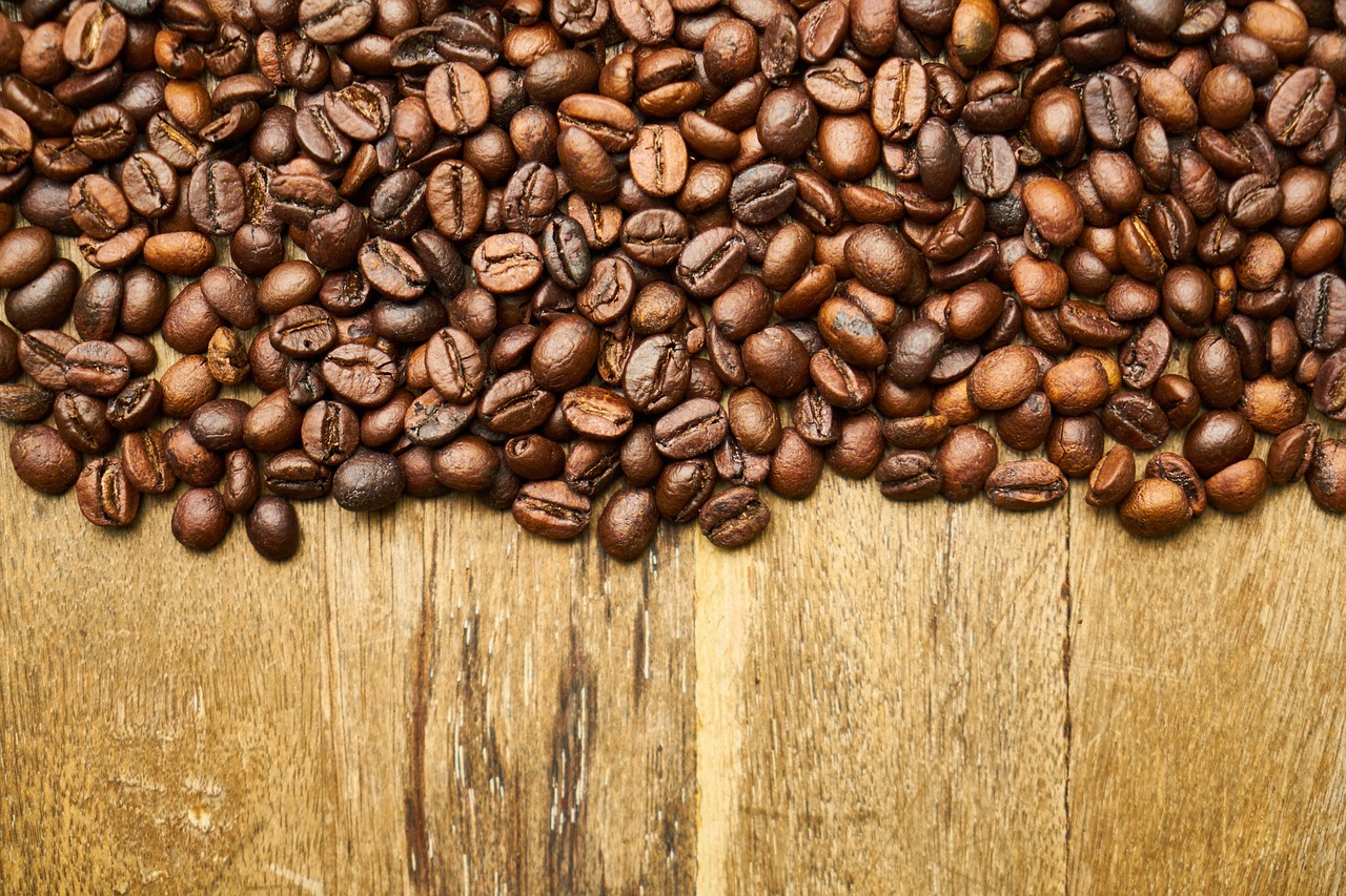 coffee core seed free photo
