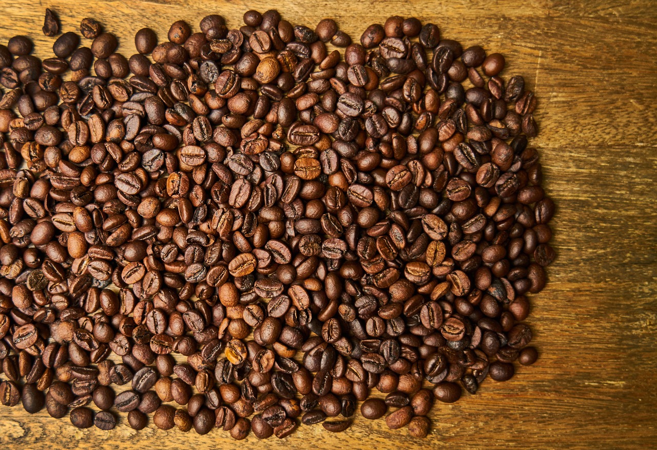 coffee core seed free photo