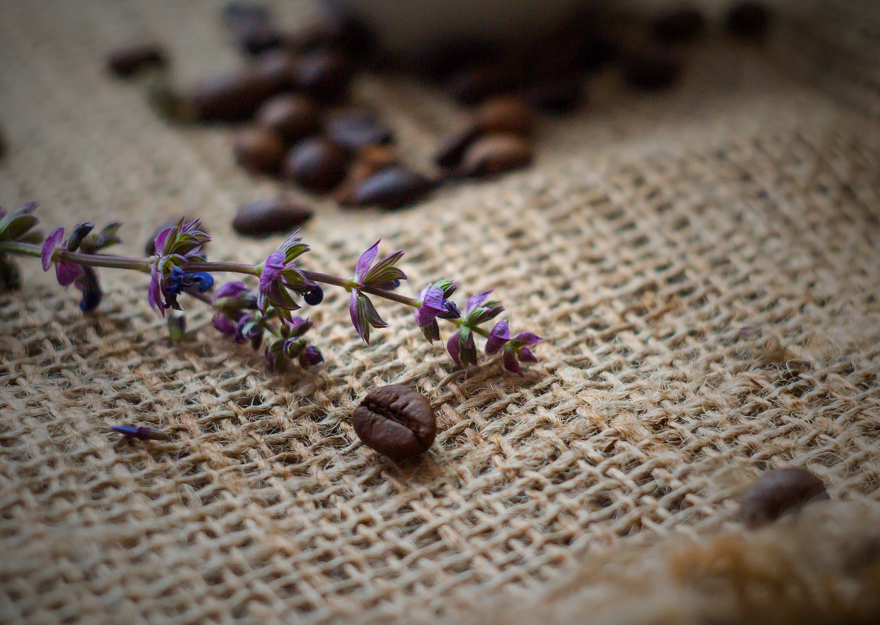 coffee sage burlap free photo