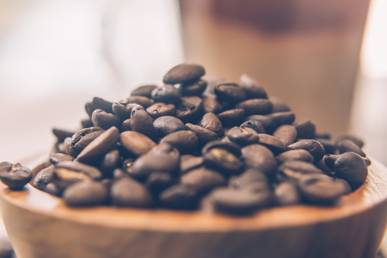 coffee beans seeds free photo