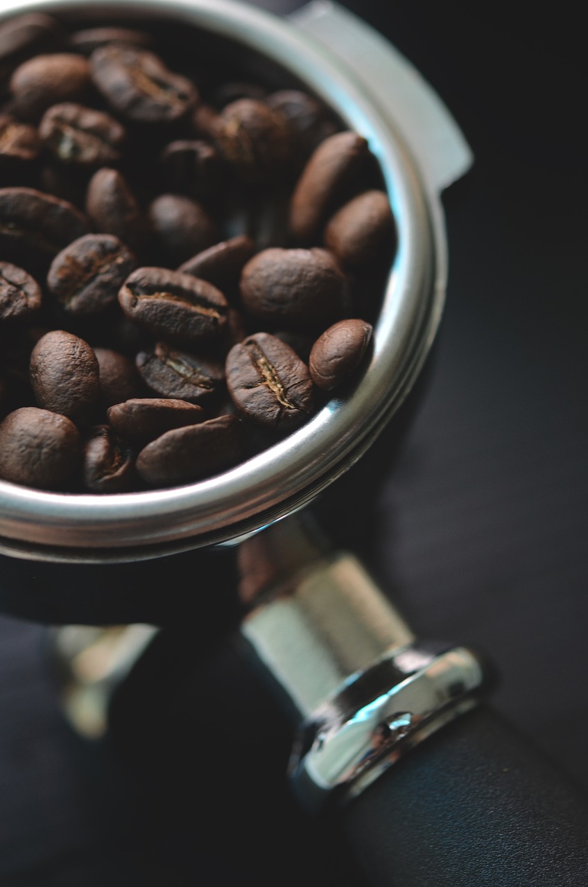 coffee bean seed free photo