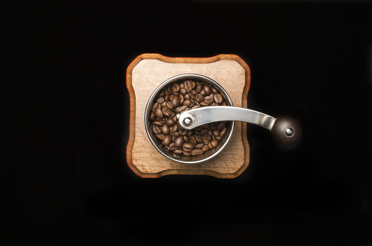 coffee bean seed free photo