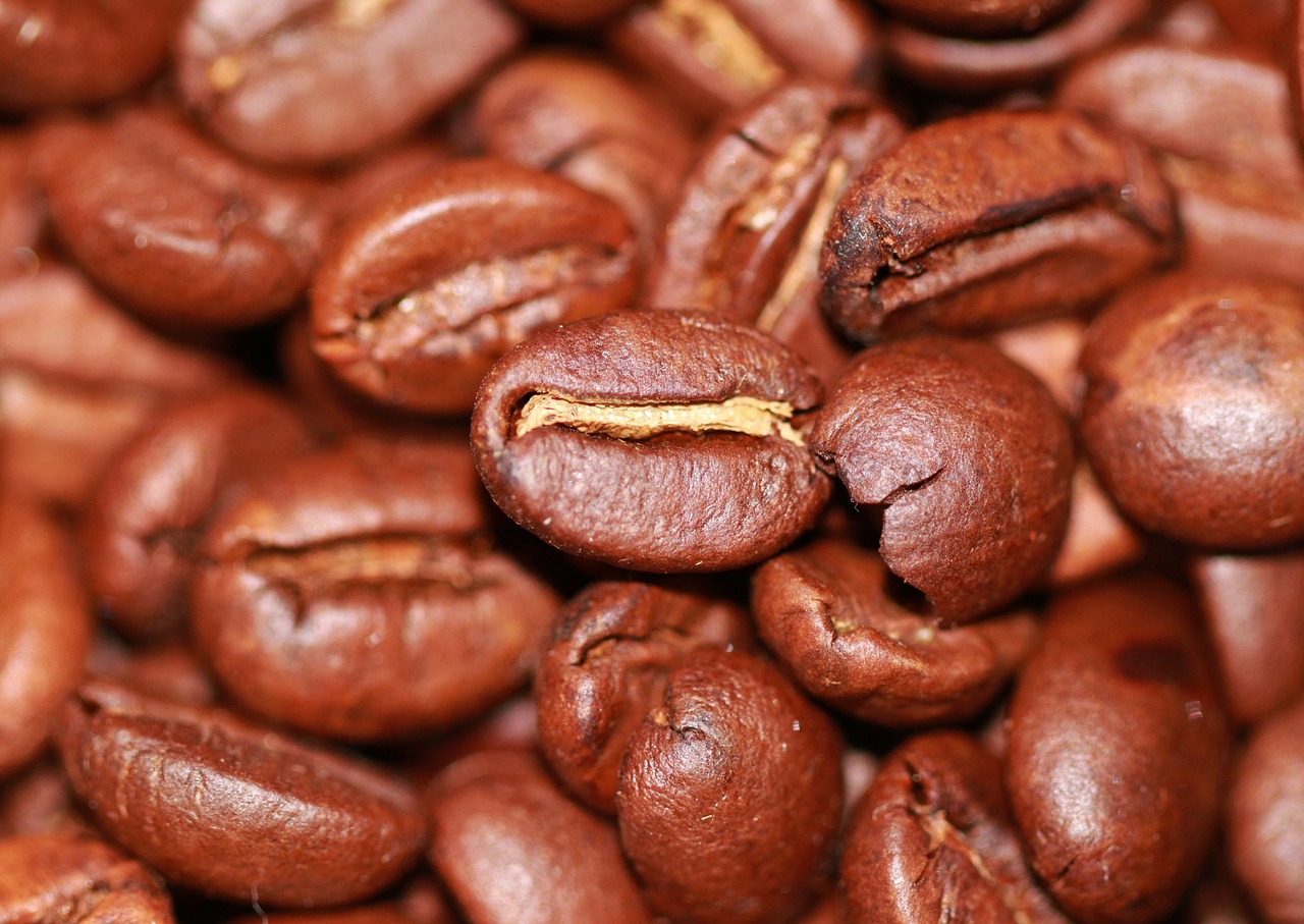 coffee roasted beans free photo