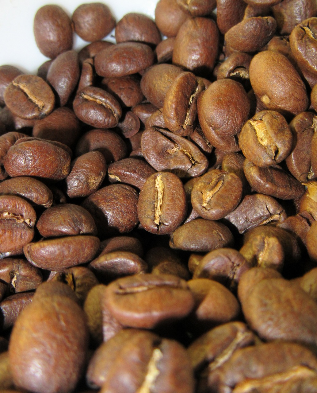 coffee coffee beans background free photo