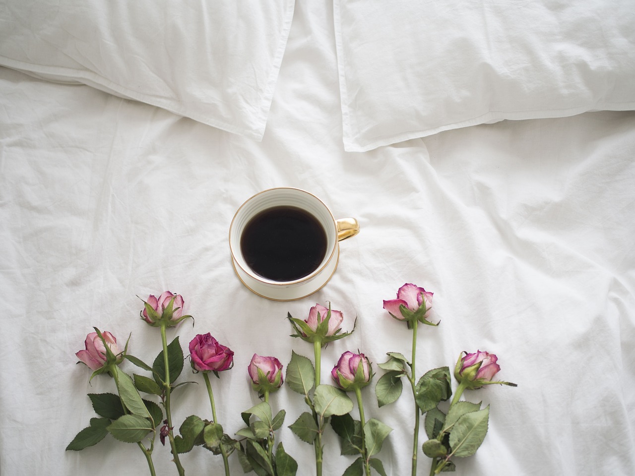 coffee roses bed free photo