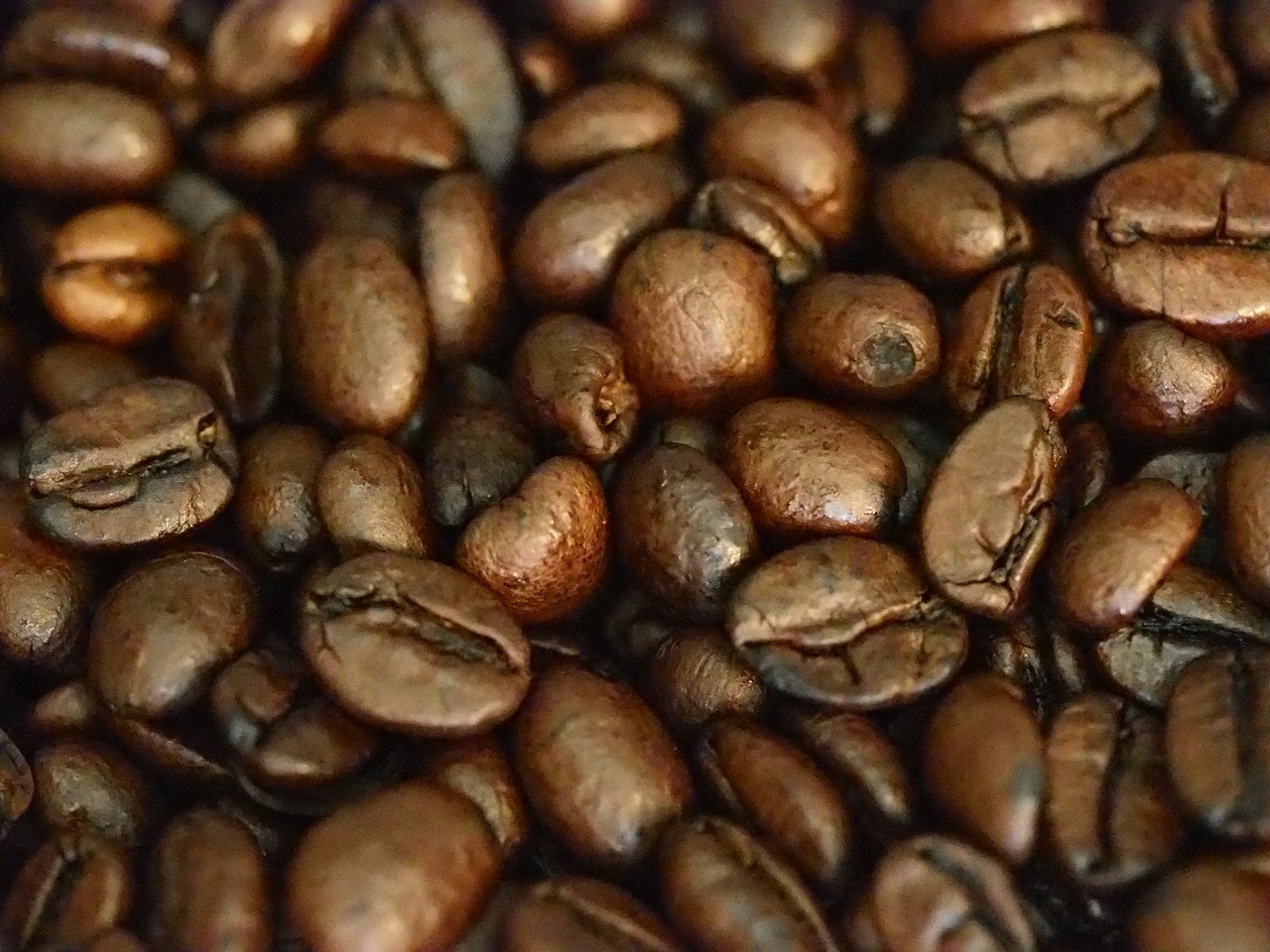 coffee coffee beans drink free photo