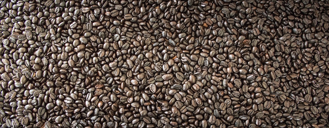 coffee coffee bean the process free photo