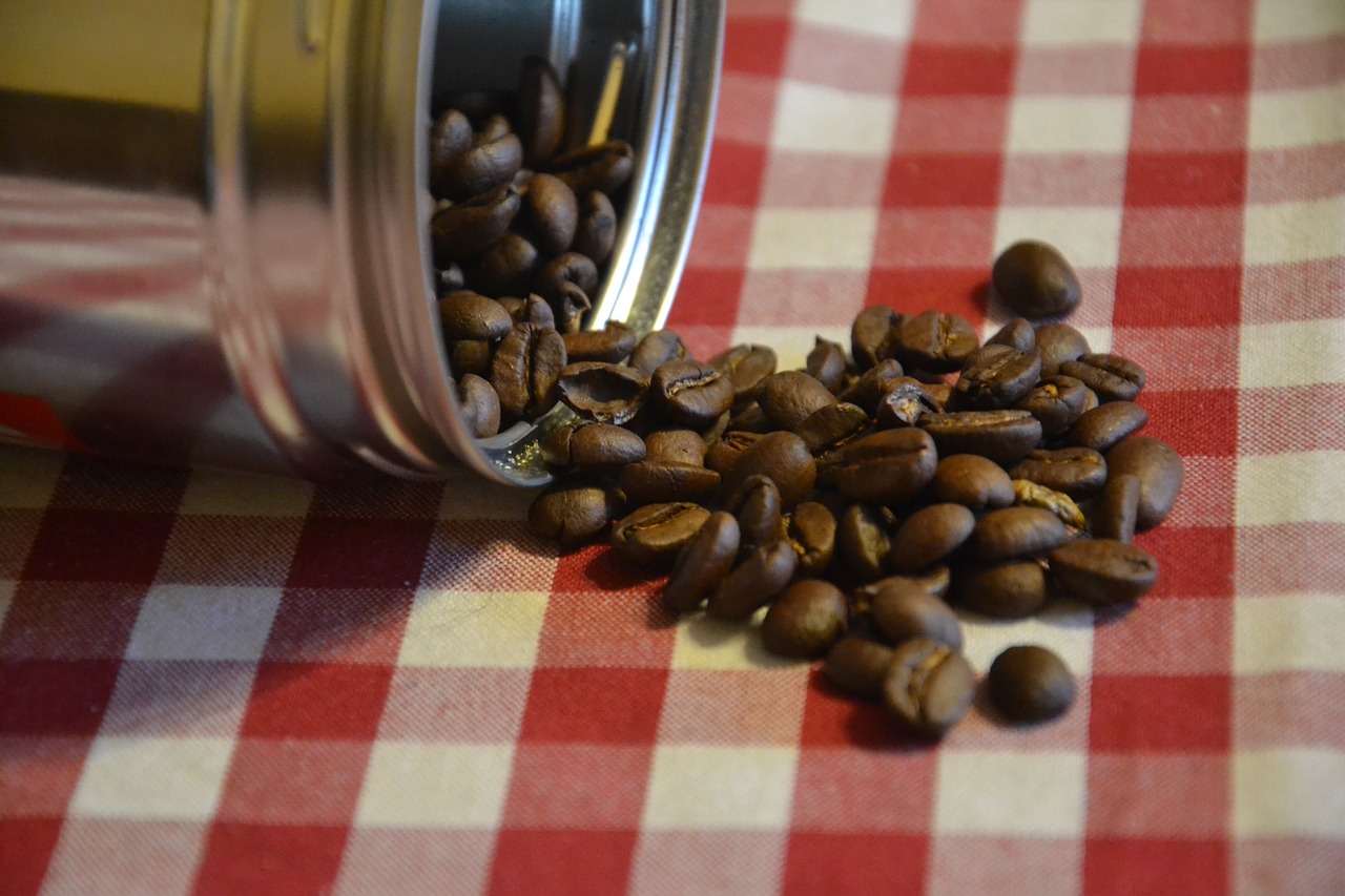 coffee grain coffee in grain free photo