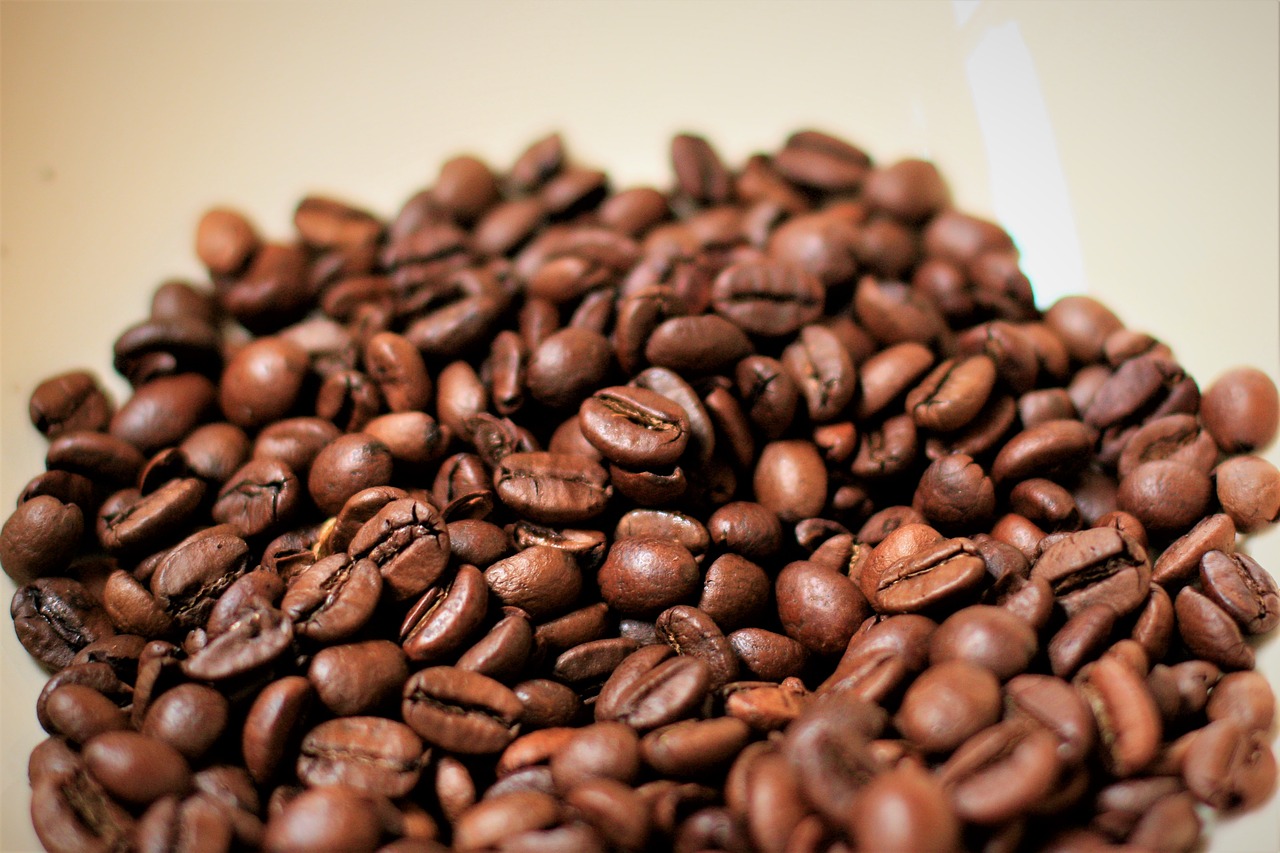 coffee beans co free photo