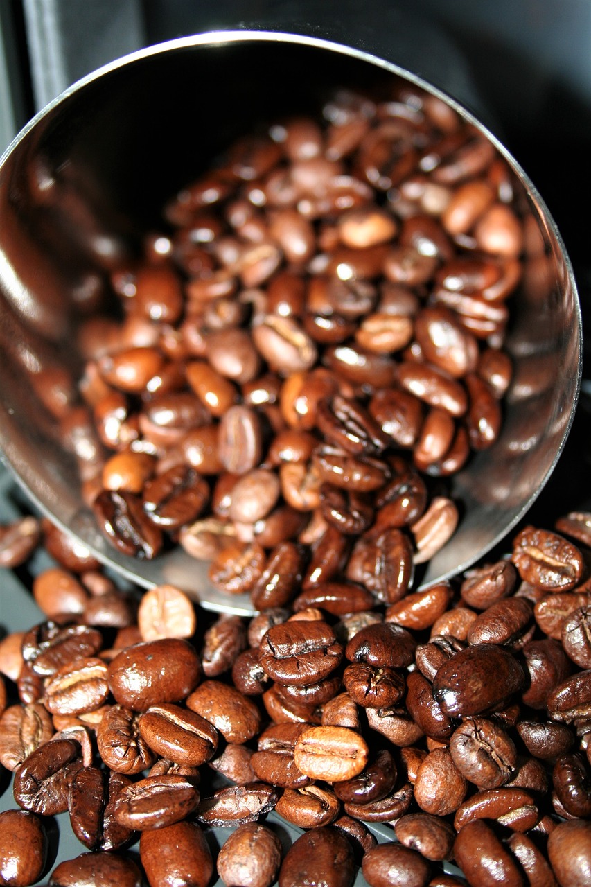 coffee beans raw free photo