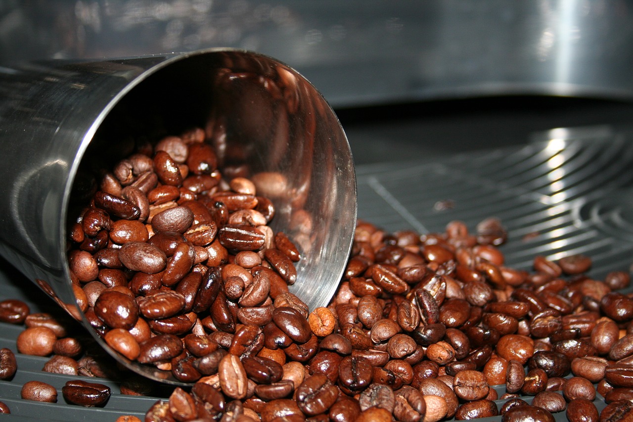 coffee beans raw free photo