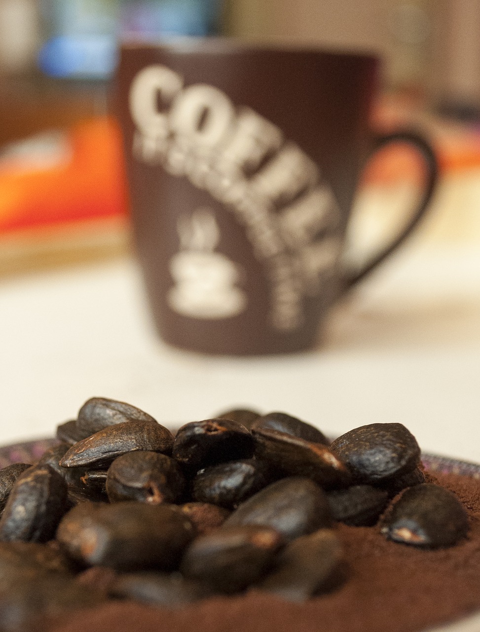 coffee beans drink free photo