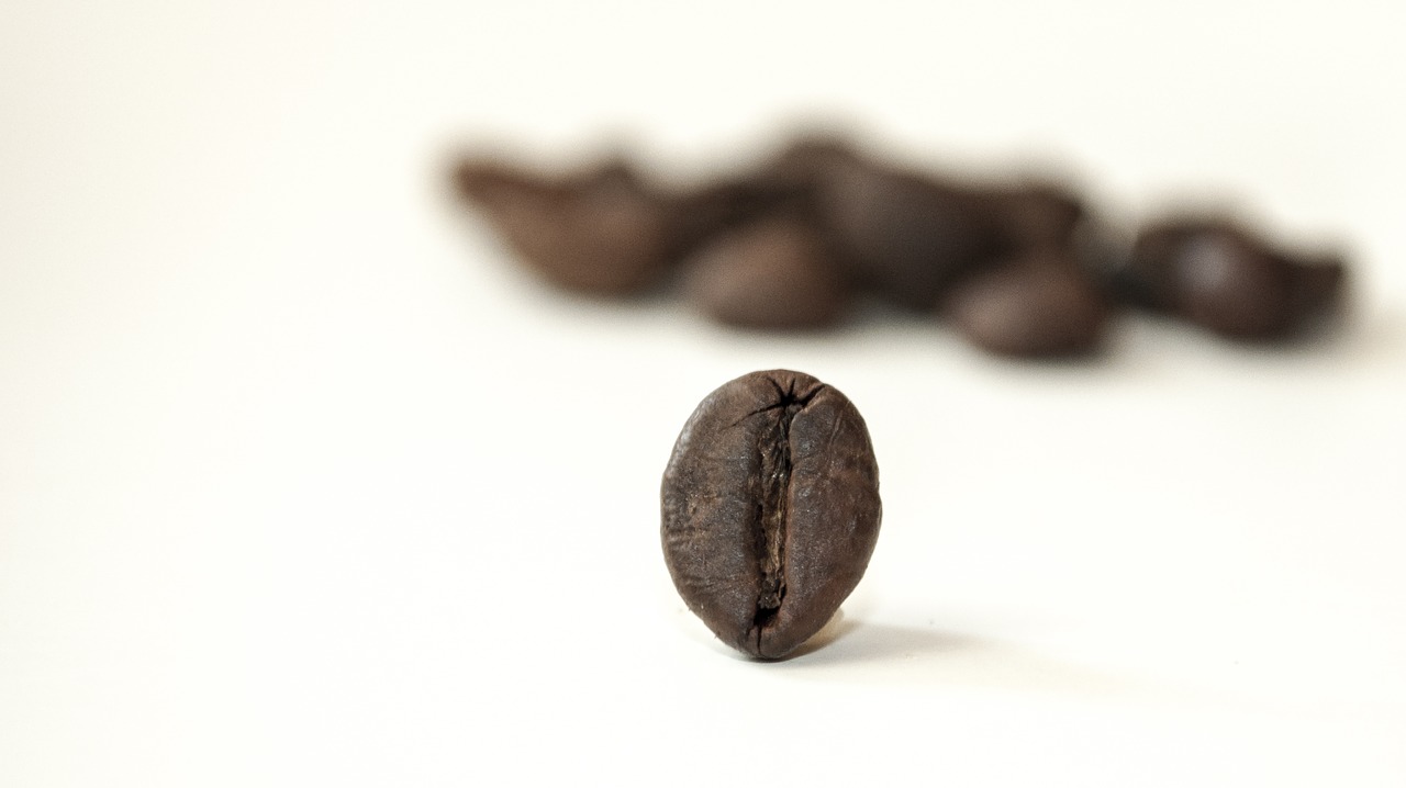 coffee beans drink free photo