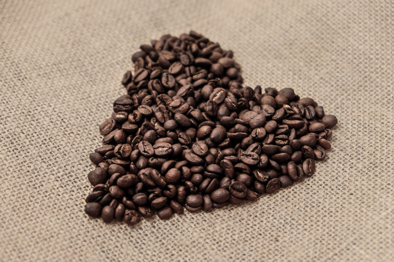 coffee beans coffee beans free photo