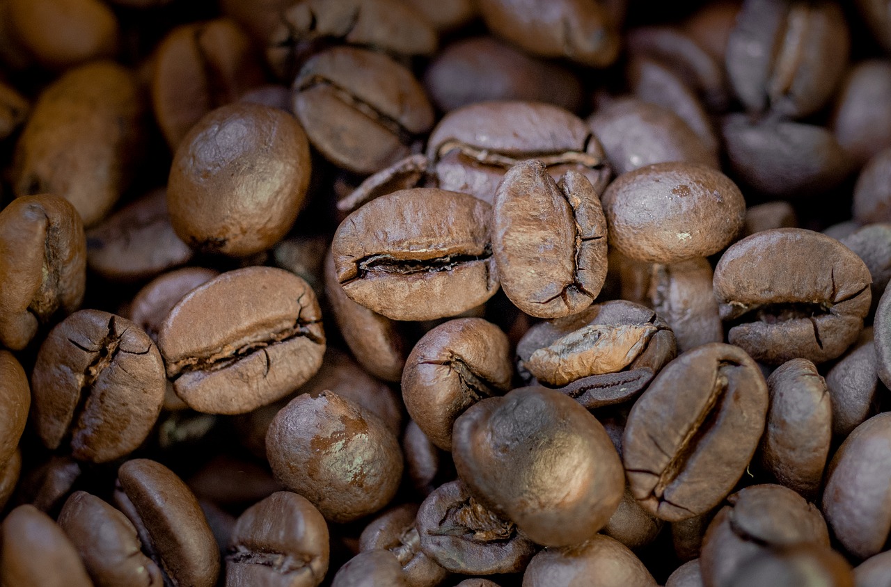 coffee beans coffee beans free photo