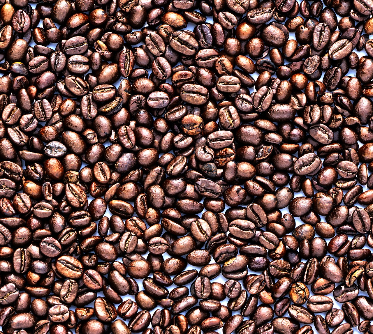 coffee coffee beans background free photo