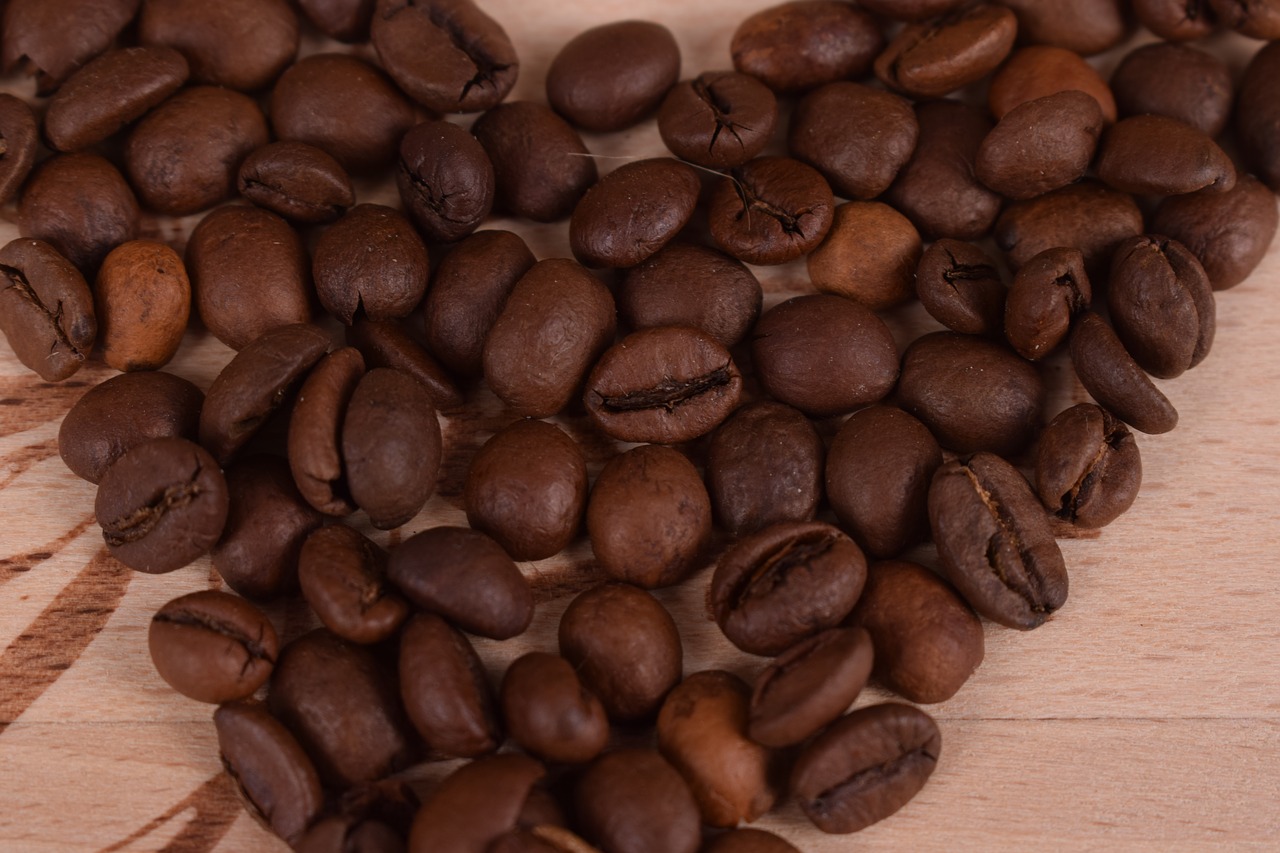 coffee caffeine seed free photo