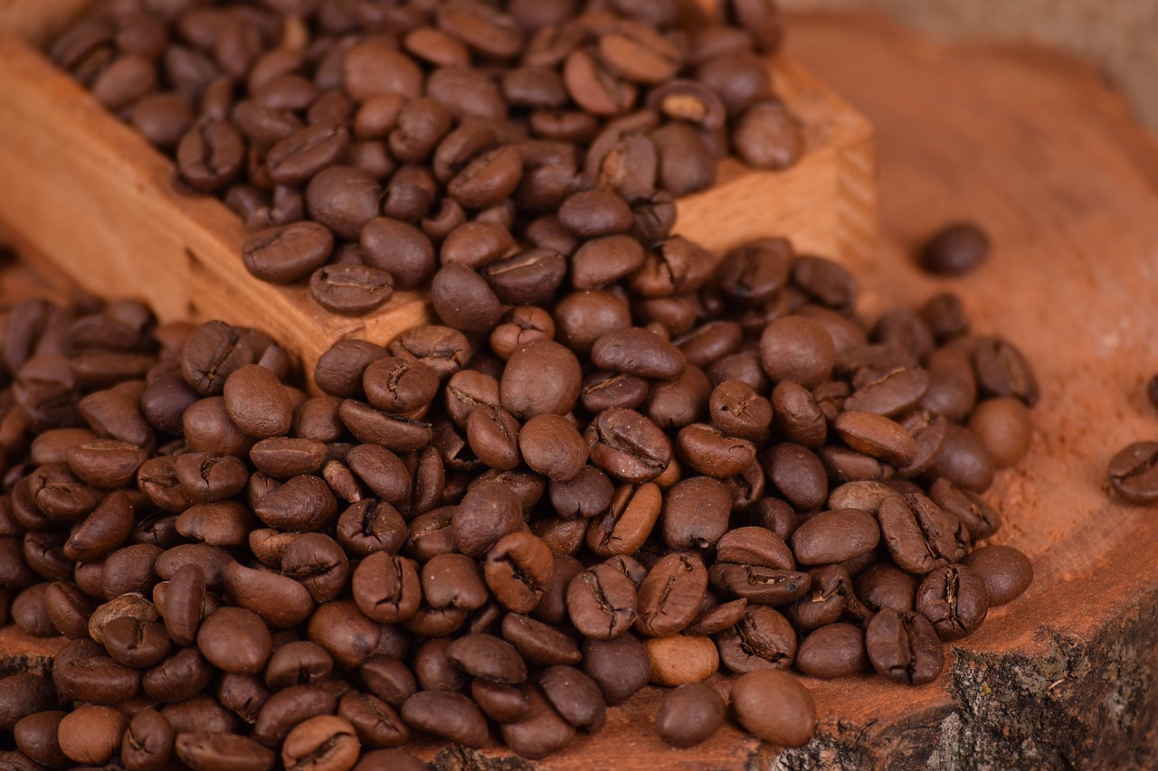 coffee caffeine seed free photo