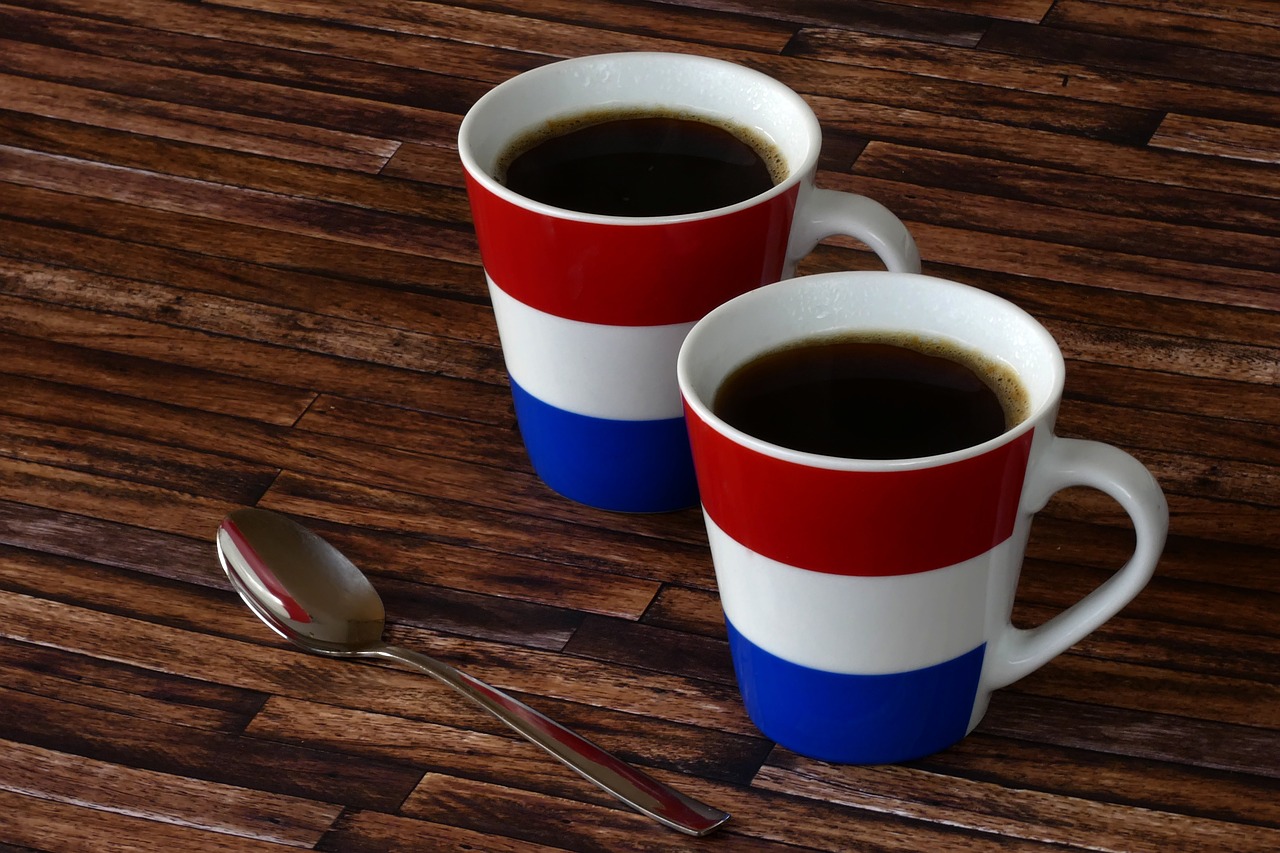 coffee coffee cup netherlands free photo