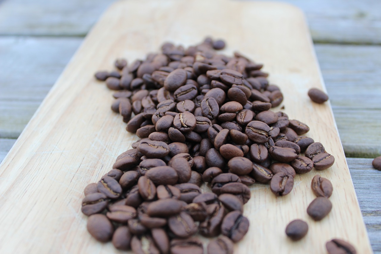 coffee  food  bean free photo