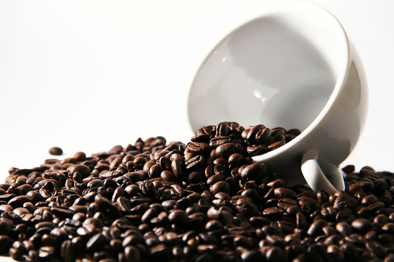 coffee  coffee beans  cup free photo