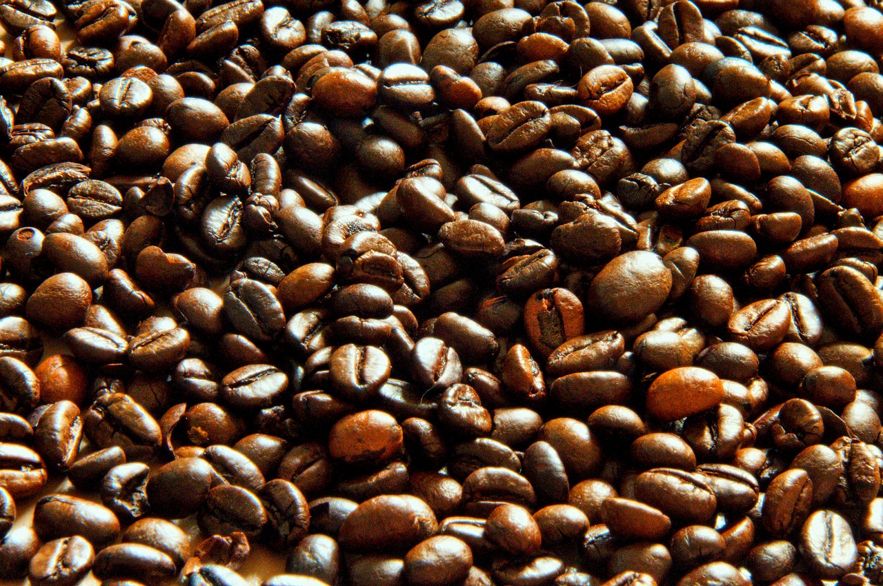 coffee  coffee beans  light free photo