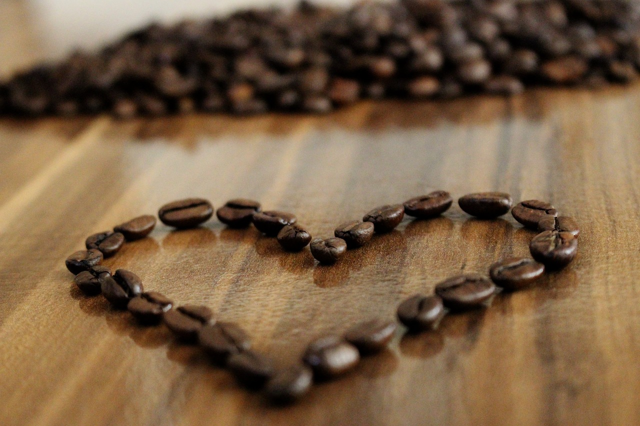 coffee  beans  coffee beans free photo