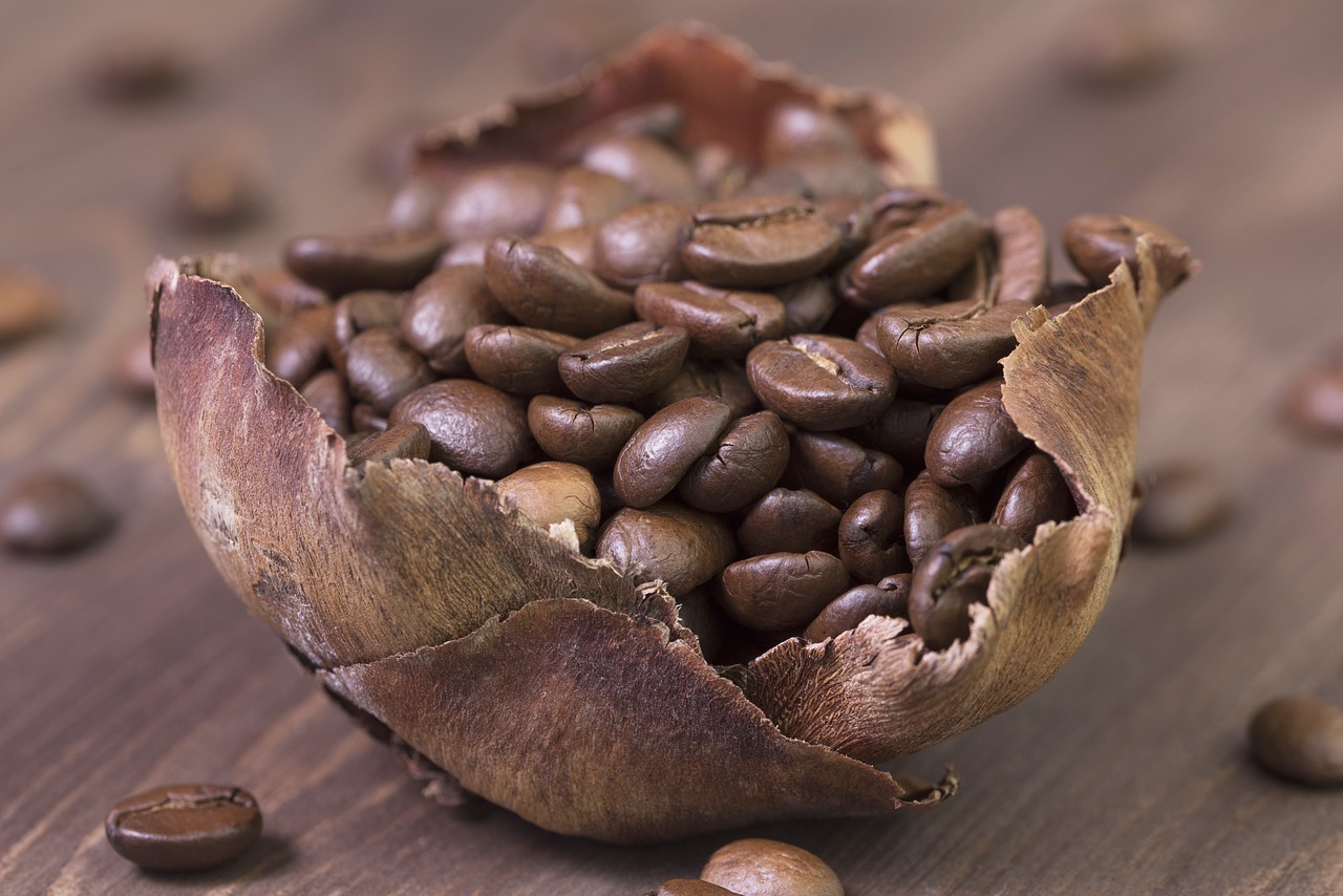 coffee  coffee beans  roasted free photo